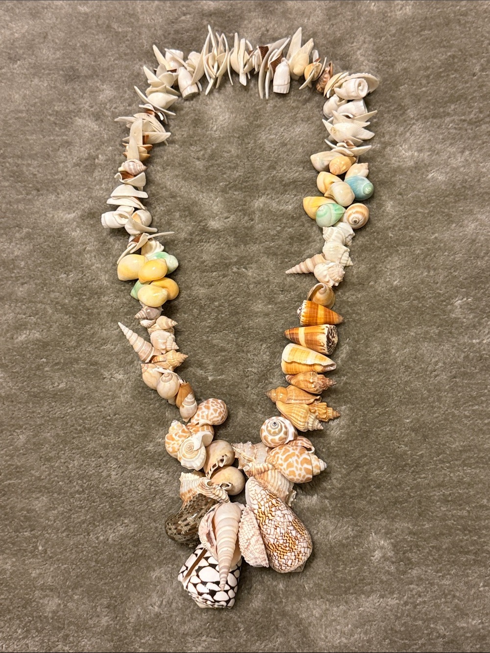 Large Shell Necklace - Picture 7 of 9